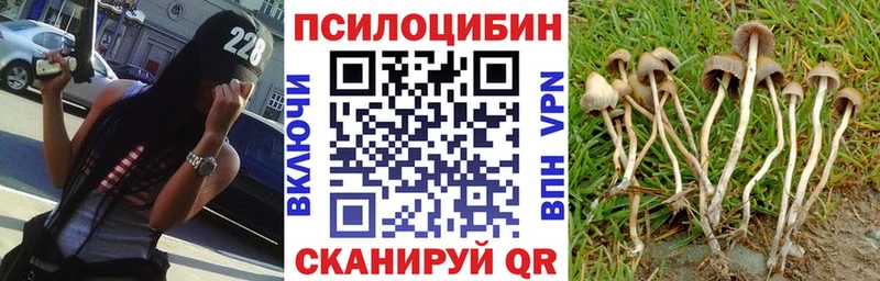 Псилоцибиновые грибы MAGIC MUSHROOMS  Ковров 